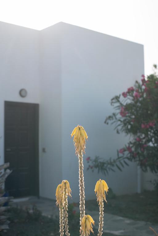 קורלחו Drago Homes מראה חיצוני תמונה